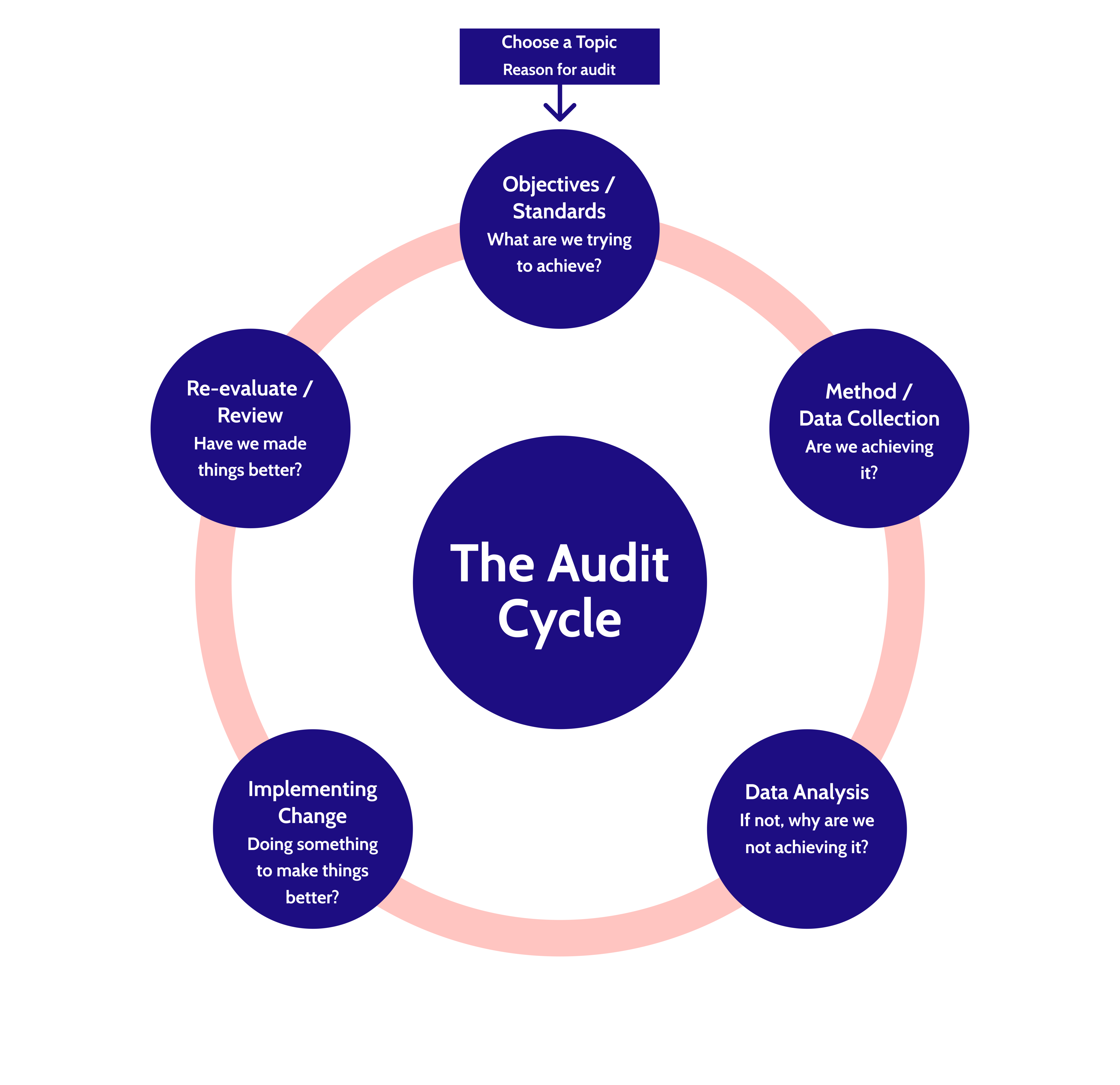 Drupal audit